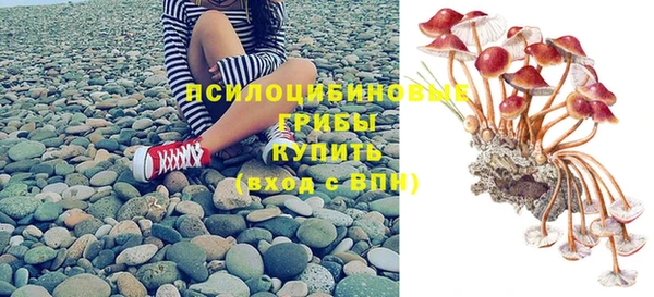 стафф Аркадак