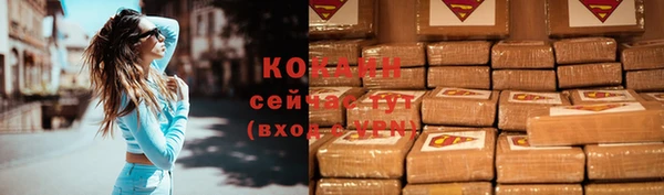 стафф Аркадак