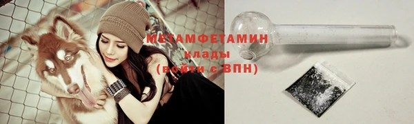 стафф Аркадак