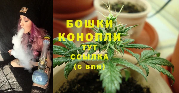 крисы Ладушкин