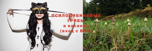 a pvp Арсеньев