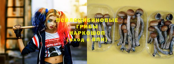 стафф Аркадак