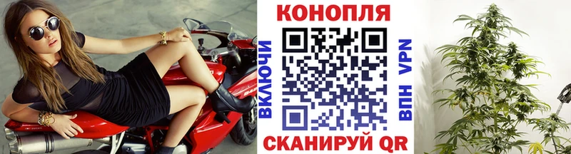 Шишки марихуана VHQ  Питкяранта 